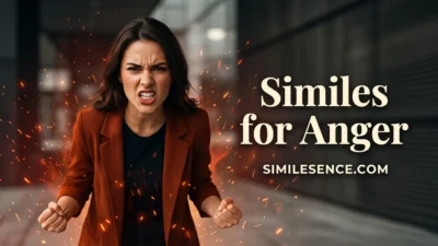 Similes for Anger