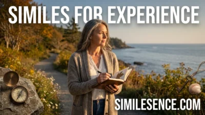 Similes for Experience