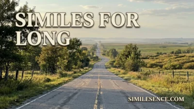Similes for Long