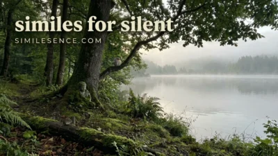 Similes for Silent