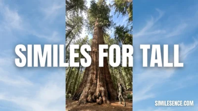 Similes for Tall