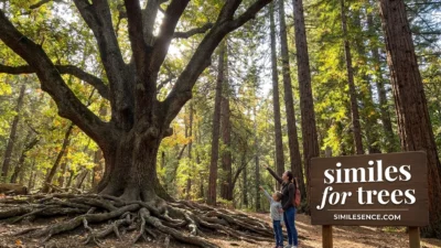 Similes for Trees