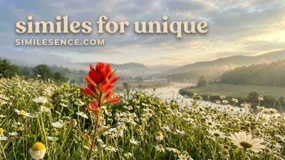 Similes for Unique